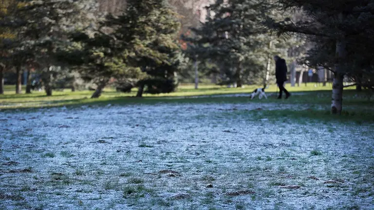 El parque Yamaguchi de Pamplona amanece con una ligera capa de hielo. EFE/Villar López