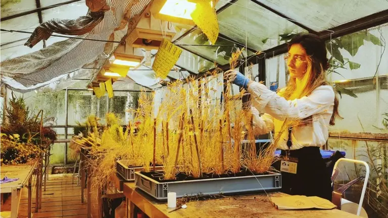 La estudiante navarra, Leyre Urmeneta, premiada por su Trabajo de Fin de Máster. CAIXABANK