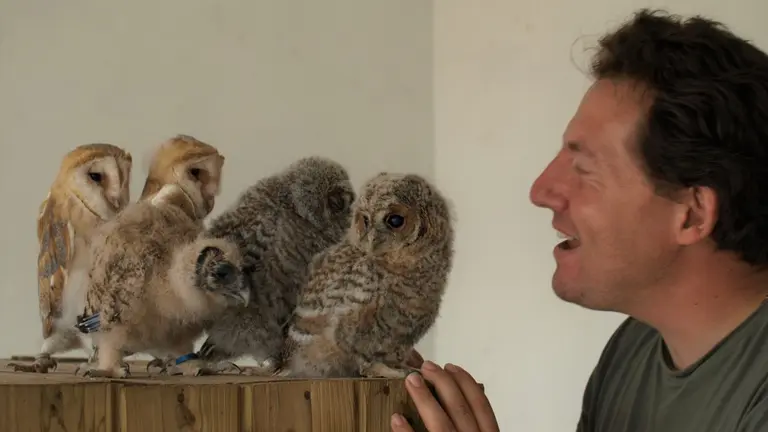 El director del Parque Tierra Rapaz y uno de los investigadores del estudio científico que revela la importancia del aprendizaje de las lechuzas durante sus primeros días de vida, Luis Lezana. UNAV