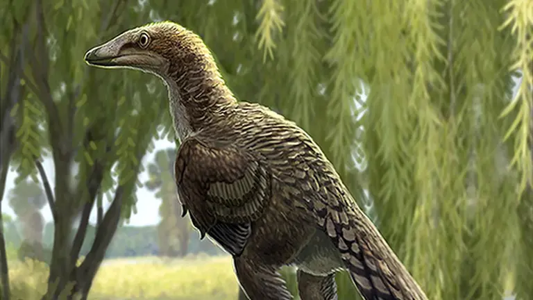 Recreación del aspecto en vida de 'Abditosaurus kuehnei. OSCAR SANISIDRO / MCD