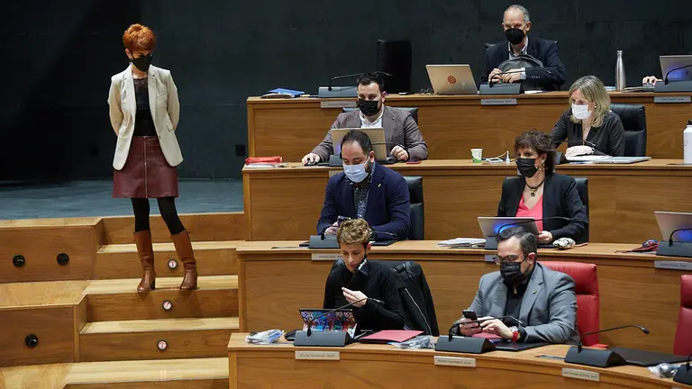 Pleno del Parlamento de Navarra. I&Ntilde;IGO ALZUGARAY