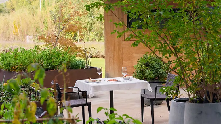 Restaurantes AlmaPamplona. CEDIDA