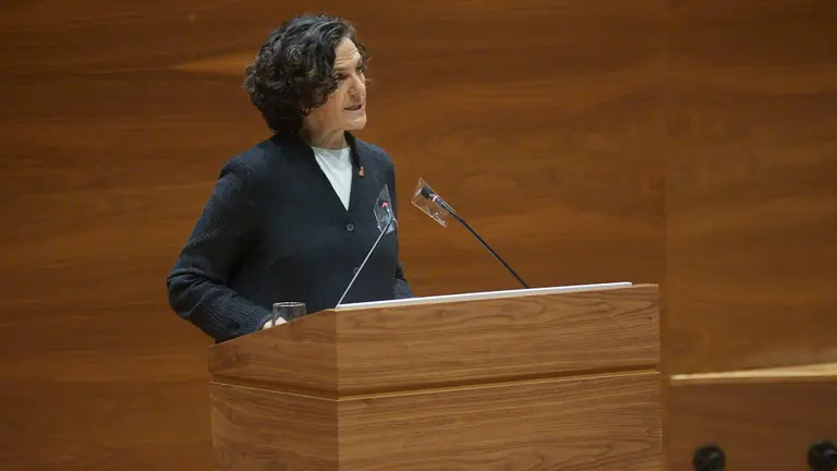 Pleno del Parlamento de Navarra. IÑIGO ALZUGARAY