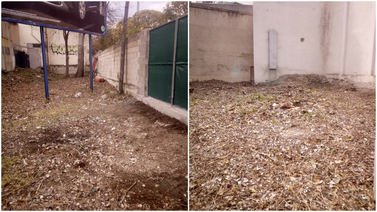 El Ayuntamiento de Pamplona limpia una parecla privada de la avenida de Zaragoza ante la inacción de sus propietarios. CEDIDA