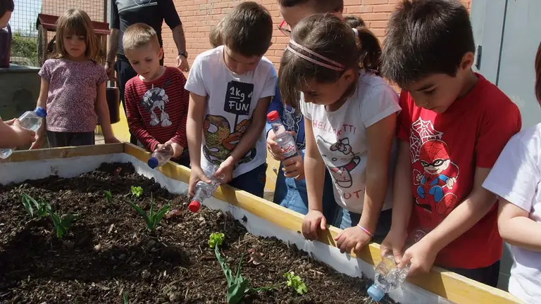 Niños participan en el programa ‘Huertas Ecológicas Escolares’. AYUNTAMIENTO DE PAMPLONA