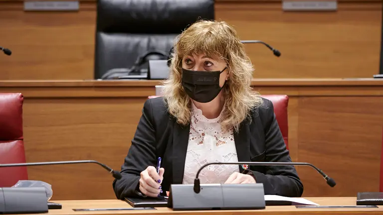 La consejera Ana Ollo minutos antes del comiezo del pleno del Parlamento. PABLO LASAOSA