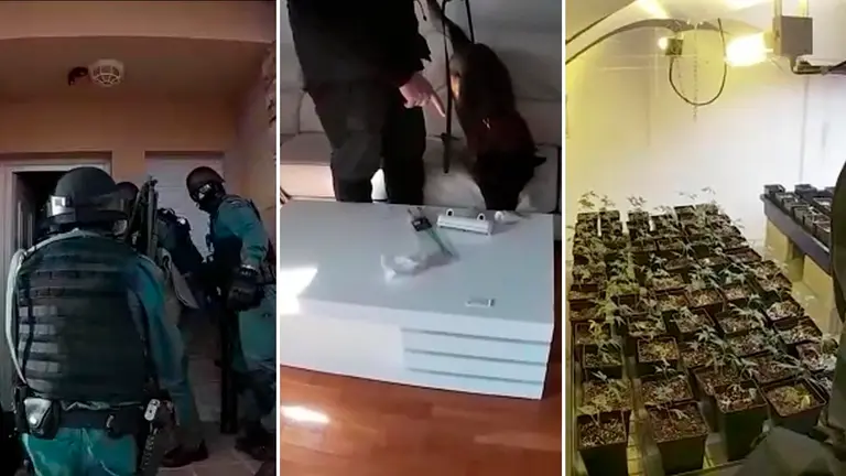 Desmantelan una asociación cannábica y un punto de cultivo y elaboración de drogas en la Comarca de Pamplona GUARDIA CIVIL