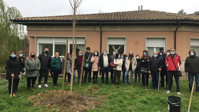 Anfas, Anasaps, el Centro Ordoiz, Esain y Gerna plantan en Estella cinco ginkgos con motivo del Día del Árbol. AYUNTAMIENTO DE ESTELLA