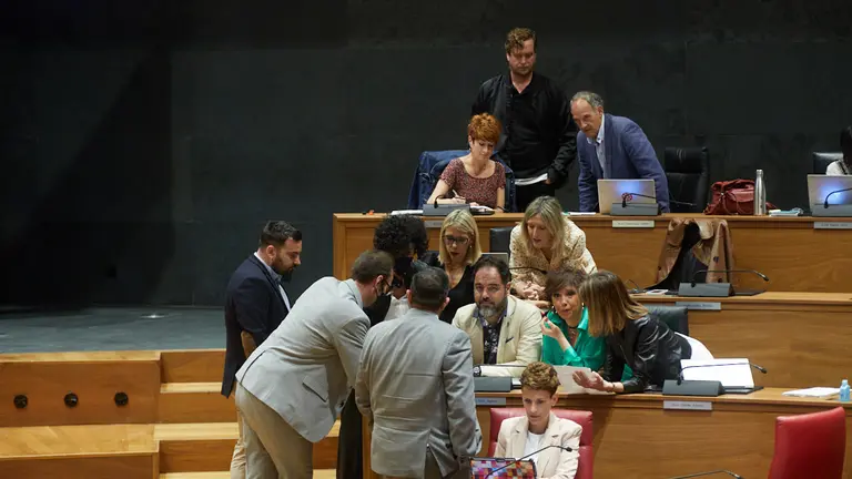 Pleno del Parlamento de Navarra. IÑIGO ALZUGARAY