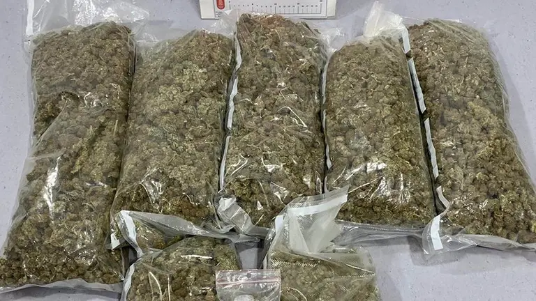 Paquetes de marihuana incautados en Alsasua. POLICÍA FORAL