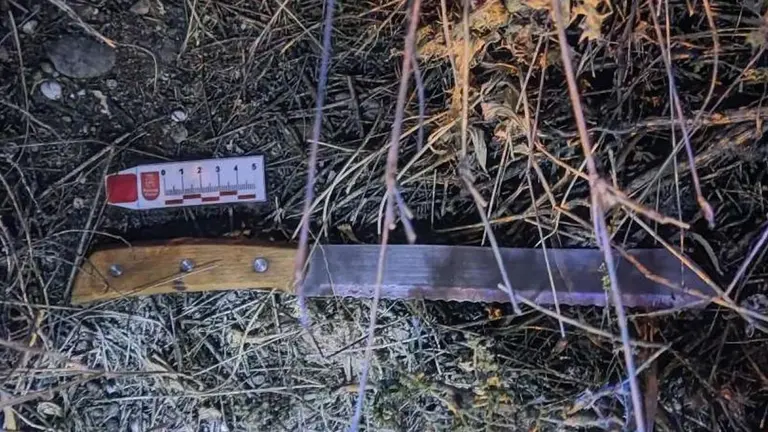 El agresor lanzó el cuchillo por la ventanilla del coche mientras huía. POLICÍA FORAL