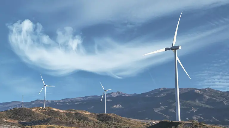 Imagen de un parque eólico con molinos de viento. CEDIDA