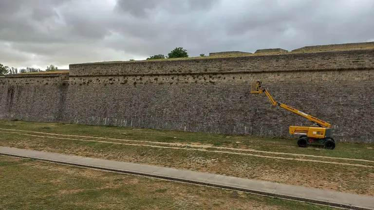 Labores de limpieza de la vegetación en las murallas de Pamplona. CEDIDA