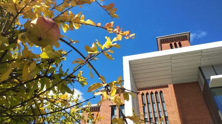 Hospital San Juan de Dios. HOSPITAL SAN JUAN DE DIOS