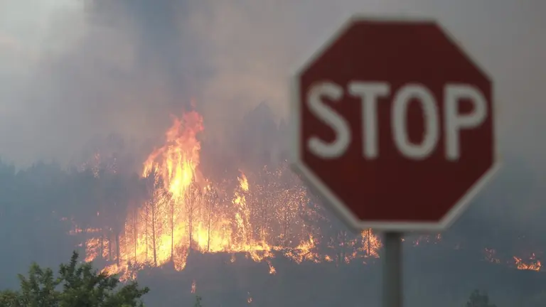 El fuego ha obligado a cortar la autovía A-12 en varios puntos. EDUARDO SANZ / Europa Press