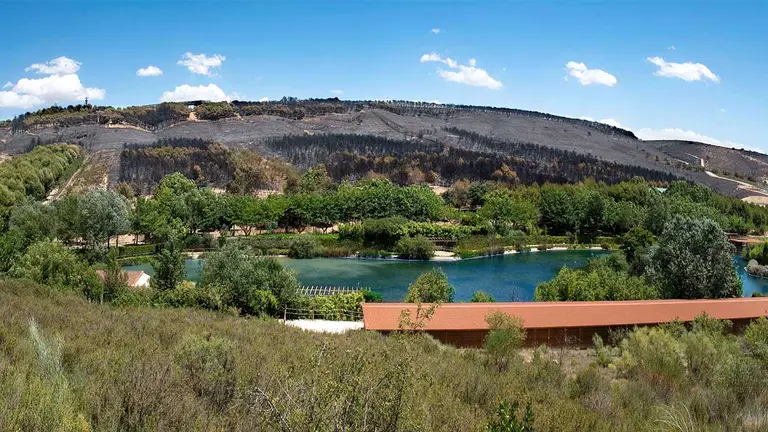 Vista panorámica de Sendaviva después del incendio del fin de semana. CEDIDA