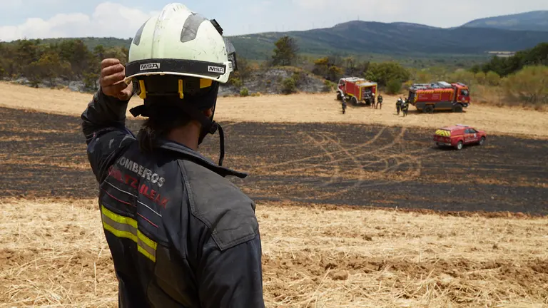 Un retén de bomberos trabajan en la extinción y control del incendio de la sierra del Perdón. IÑIGO ALZUGARAY