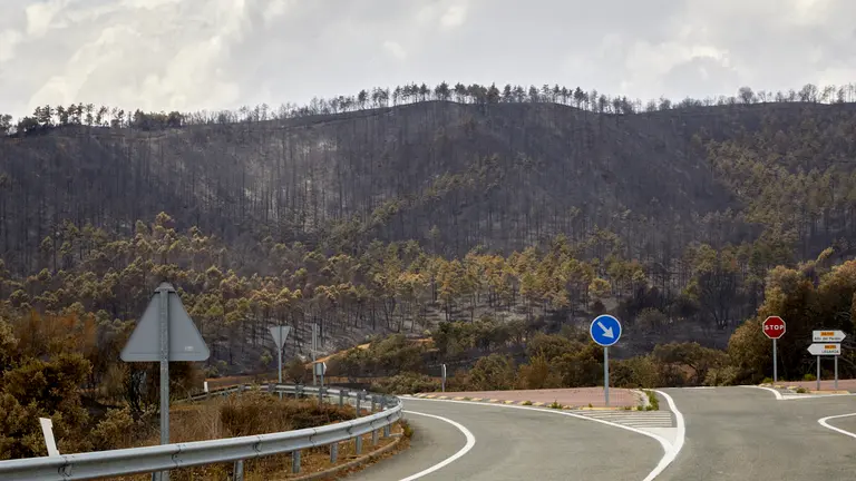 Zona quemada en el incendio de la sierra del Perdón. IÑIGO ALZUGARAY