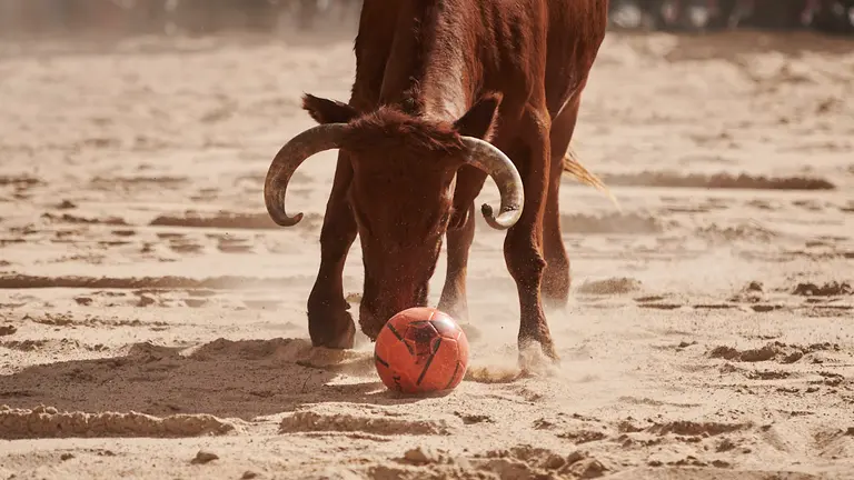 Tarde de vaquillas con la ganadería de Macua durante las fiestas de Barañain 2022. PABLO LASAOSA