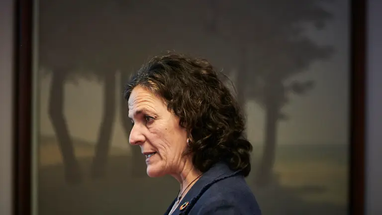 La consejera de Desarrollo Rural y Medio Ambiente, Itziar Gómez, explica en comisión la gestión de la emergencia de los incendios forestales que han ocurrido en Navarra. PABLO LASAOSA