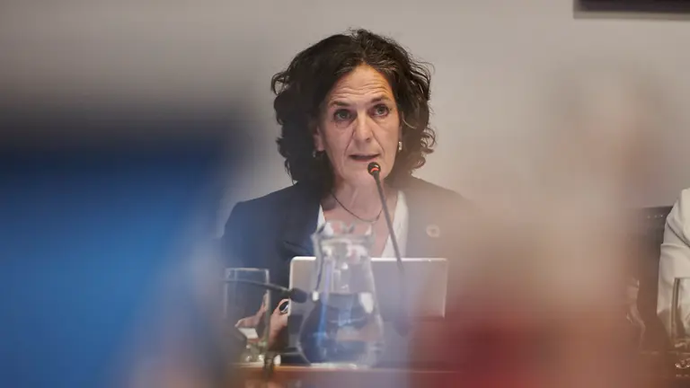 La consejera de Desarrollo Rural y Medio Ambiente, Itziar Gómez, explica en comisión la gestión de la emergencia de los incendios forestales que han ocurrido en Navarra. PABLO LASAOSA