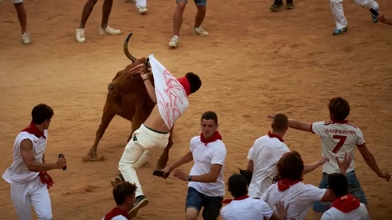 Vaquillas en la plaza de toros de Pamplona tras el tercer encierro de San Fermín 2022. IRANZU LARRASOAÑA
