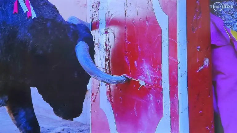 Chismoso, el segundo toro de José Escolar en la tercera corrida de la Feria del Toro de San Fermín en la plaza de toros de Pamplona, clava uno de sus pitones en el burladero. NAVARRA.COM