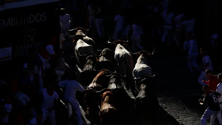 Los mozos, durante el cuarto encierro de los Sanfermines con toros de la ganadería La Palmosilla este domingo en Pamplona. EFE Rodrigo Jimenez
