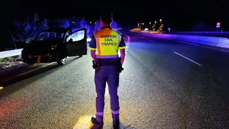 Un agente de la Guardia Civil en el lugar del siniestro en la A-12 a la altura de Estella. GUARDIA CIVIL