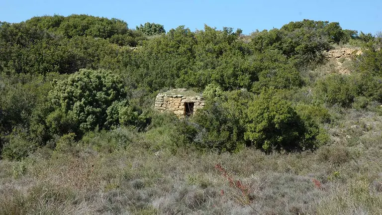 Reserva Boyeral. CEDIDA