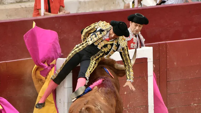 Momento en el que el primer toro ha embestido al sobresaliente en la Feria de Estella. PABLO LASAOSA