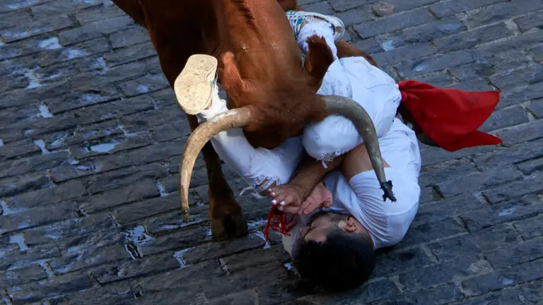 Encierro de vacas en Estella. IRANZU LARRASOAÑA