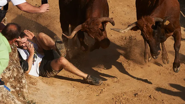 Primer encierro de las fiestas del Pilón de Falces 2022. PABLO LASAOSA