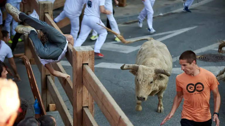 Primer encierro de fiestas de Tafalla con Toros de Prieto de la Cal 2022. IRANZU LARRASOAÑA