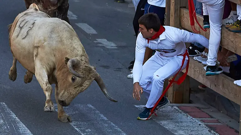 Primer encierro de las fiestas de Tafalla 2022 con toros de Prieto de la Cal. PABLO LASAOSA