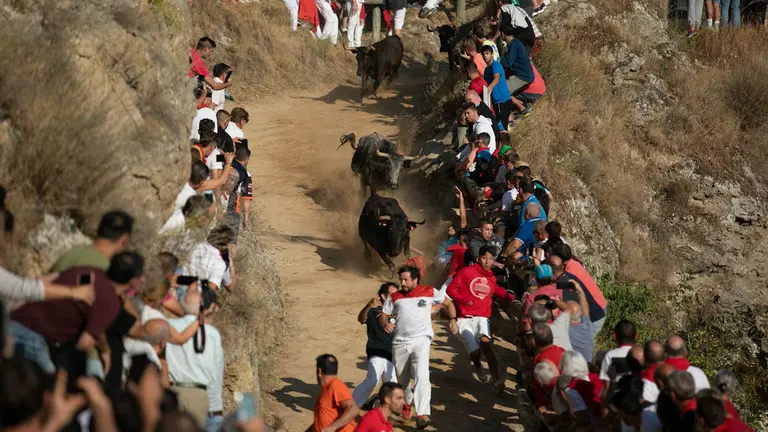 Segundo encierro del Pilón de Falces con la ganadería de ADRIÁN DOMÍNGUEZ. Maite H. Mateo.-13