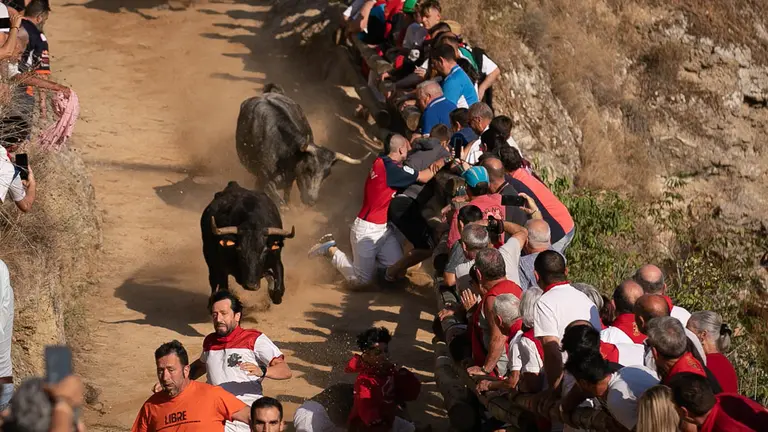 Segundo encierro del Pilón de Falces con la ganadería de ADRIÁN DOMÍNGUEZ. Maite H. Mateo.-14