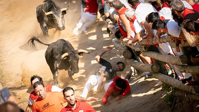 Segundo encierro del Pilón de Falces con la ganadería de ADRIÁN DOMÍNGUEZ. Maite H. Mateo.-17
