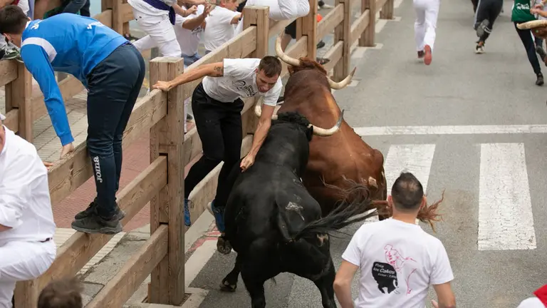 Segundo encierro de las fiestas de Tafalla 2022 con toros de Manuel Blázquez .Maite H. Mateo.-30