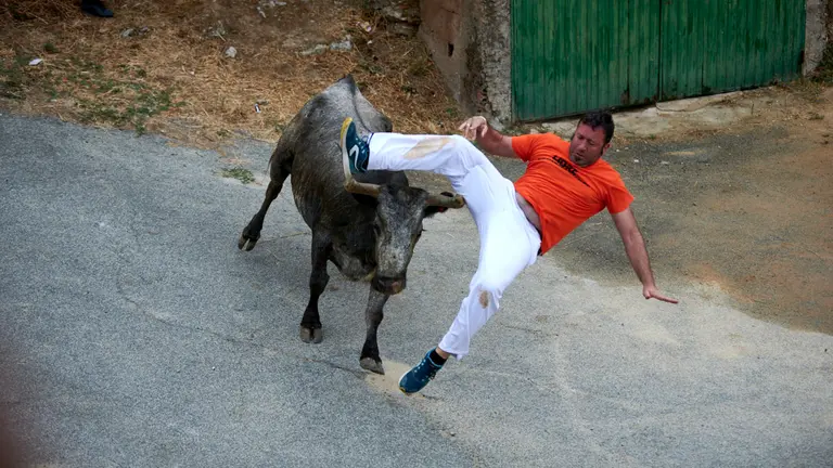 Tercer encierro de las fiestas del Pilón 2022 en Falces con vacas de Teodoro Vergara. IRANZU LARRASOAÑA