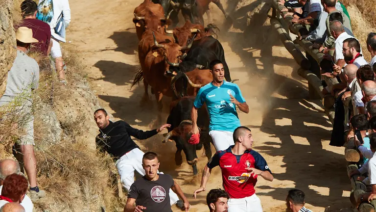 Cuarto encierro del Pilón de las Fiestas de Falces 2022 con vaquillas de la ganadería de Lastur de Iziar. IÑIGO ALZUGARAY