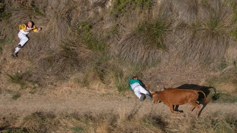 Cuarto encierro del Pilón 2022 con vacas de la Ganadería Lastur de Iziar. Maite H. Mateo-03