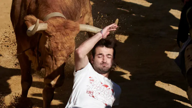 Séptimo encierro del Pilón de las fiestas de Falces 2022 con reses de la ganadería de Manolo Merino. IRANZU LARRASOAÑA