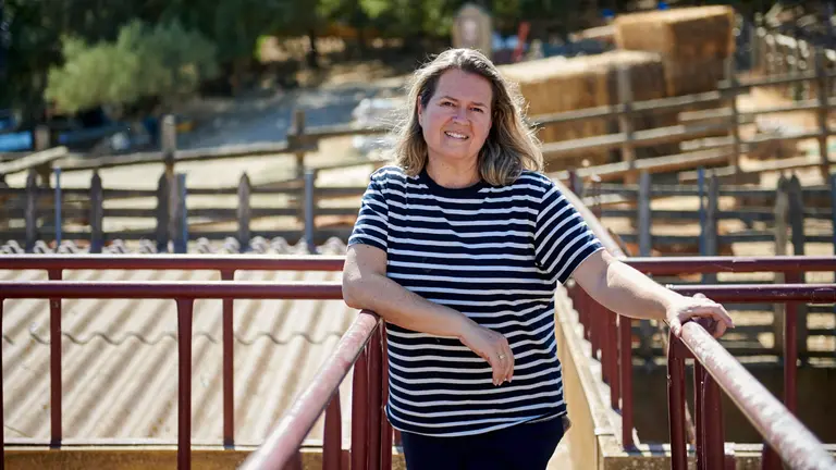 La ganadería de Miguel Reta participa este verano en los festejos populares de 17 localidades navarras. Además, en Estella lidió por primera vez en España sus toros de Casta Navarra. IRANZU LARRASOAÑA