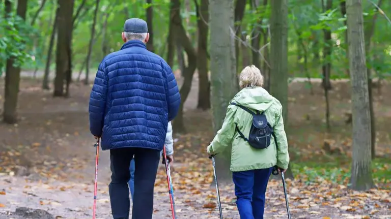 Viajes del Imserso 2023: ¿cuándo se abre el plazo de reserva para los navarros?Foto: pixabay.