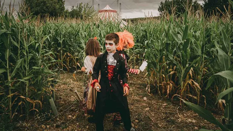 Sedaviva ha organizado un concurso de disfraces para celebrar Halloween. CEDIDA