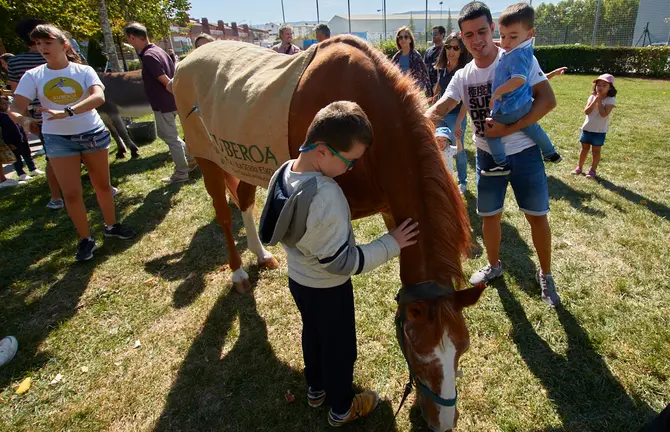 VII Feria Navarra Ecológica en el Parque de los Sentidos de Noáin. IÑIGO ALZUGARAY