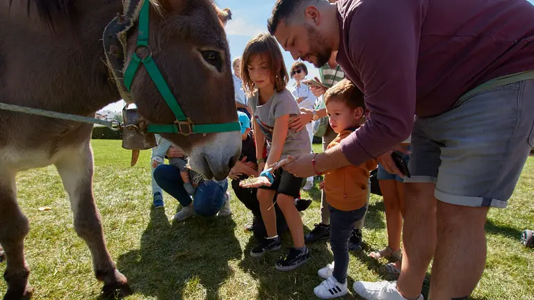 VII Feria Navarra Ecológica en el Parque de los Sentidos de Noáin. IÑIGO ALZUGARAY
