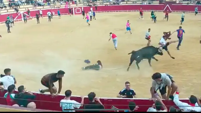 Cogida en el toro ensogado de Lodosa.