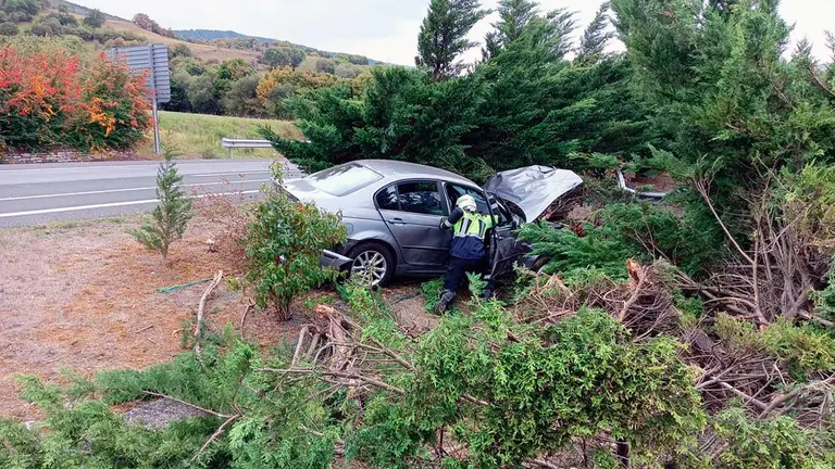 El coche se empotró contra los árboles de la mediana. BOMBEROS DE NAVARRA